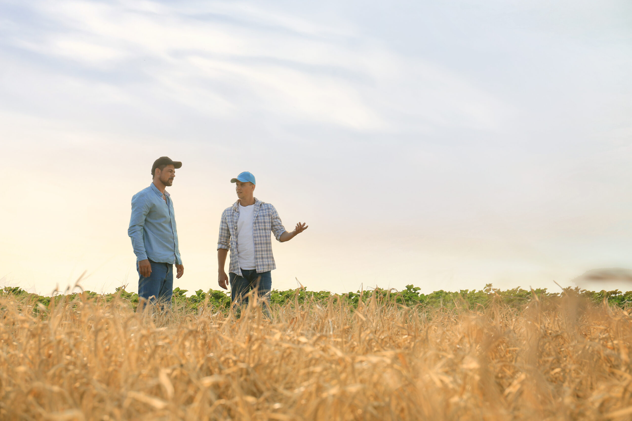 À la recherche d’un exploitant agricole